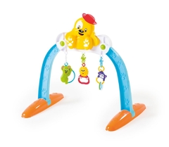 Baby Gym Pet - comprar online