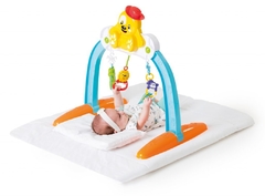 Baby Gym Pet en internet