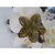 Presilha Flor Cabelo Max - comprar online