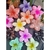 Presilha Flor Cabelo Max - loja online