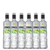 SERNOVA SWEET APPLE PEAR 700 X 6