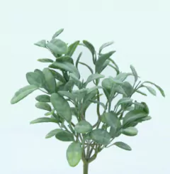 SALVIA BUSH 31CM