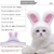 Gorro de conejo para mascota - tienda online