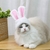 Gorro de conejo para mascota - comprar online