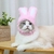 Gorro de conejo para mascota