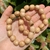 PULSERA PALO SANTO.