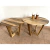 MESA RATONA GERVASONI 1" - comprar online