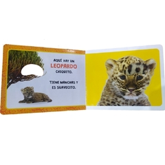 Animales de la sabana Libro con texturas - comprar online
