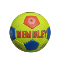 4Pelota de playa
