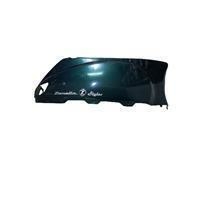 COBERTOR LATERAL DERECHO VERDE con detalles Zanella