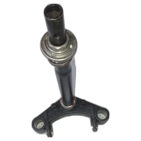 Cristo direccion con detalles Zanella