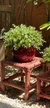 Banco de Rattan Vermelho G