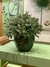 Vaso de Cerâmica Pássaros Verde G
