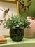 Vaso de Cerâmica Pássaros Verde P