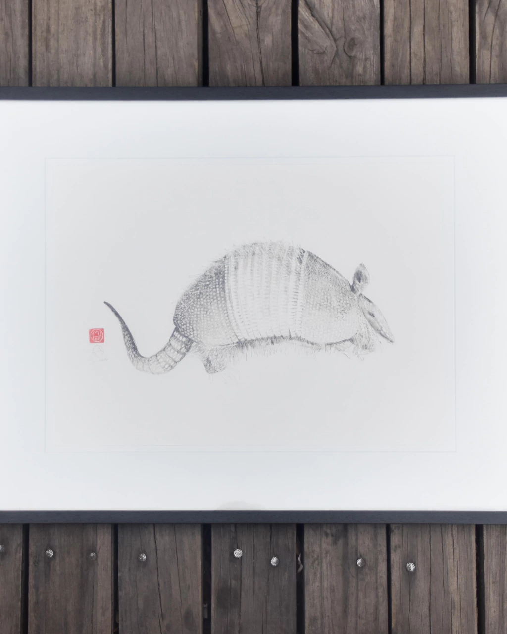 Armadillo