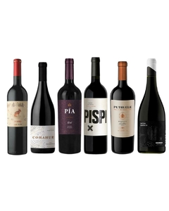 PROMO Degustación Tinto