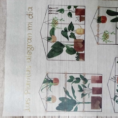 Imagen de Eco laminas Camila