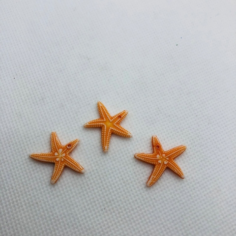 MINI ESTRELA DO MAR LARANJA - UNIDADE