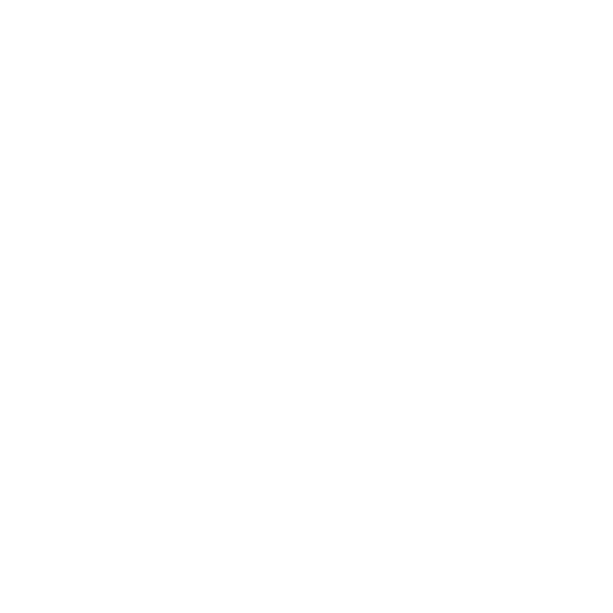 THE RHBIN