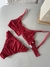 Conjunto Hot Pants Berlinda na internet