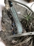 Pulseira Amy - loja online