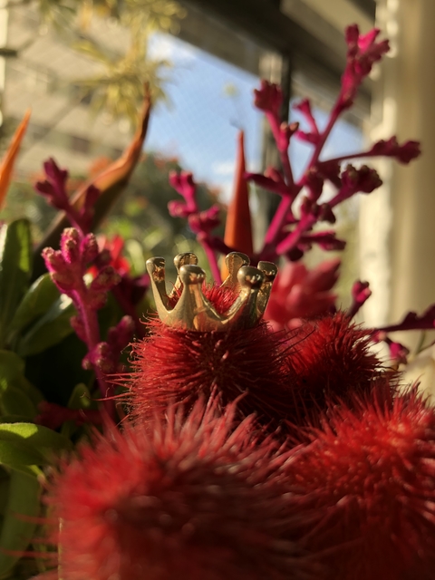 Anel de Falange Crown