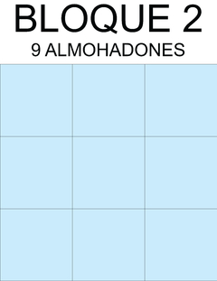 ALMOHADONES CUADRADOS COD A-253 - ants_designing