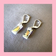 Aros Colgabres de Baguet de 13,5 mm en Cristal con Engarce de Plata
