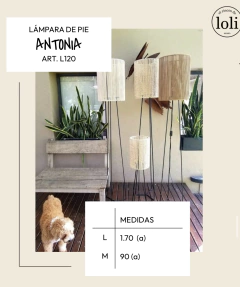 LAMPARA ANTONIA RAFIA