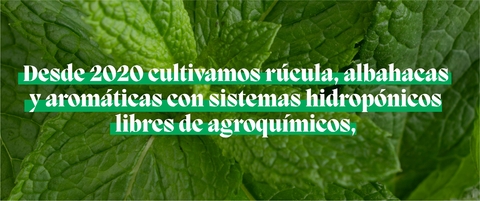 Carrusel 1
