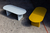 SET BORREGO