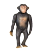 Chimpanze De Vinil - Db Play