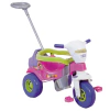 Tico Tico Bichos Rosa Com Som - Magic Toys