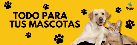 Imagen del carrusel 1