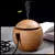 HUMIDIFICADOR 200ml ESFERA en internet