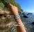 Banner de VB Praiana