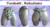 Imagen del carrusel OrenJuiceArt