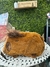 Estojo Pelúcia Capivara - comprar online