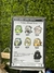 Blind Box Panda (MR.PA) Original - Abacaxi Golden Presentes