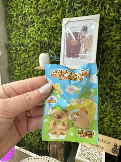 Borracha Surpresa Capivara - comprar online
