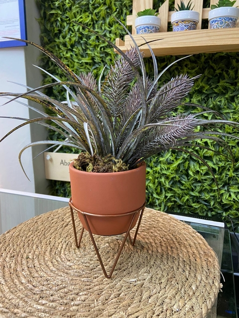 Vaso Terra Cotta Pedestal