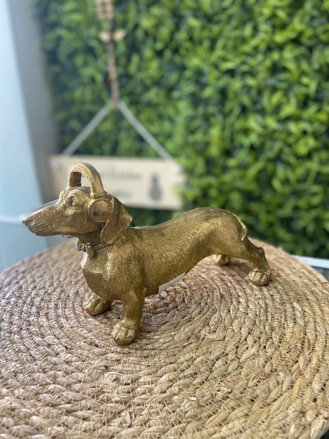 Cachorro Salsicha (Dachshund) Musical