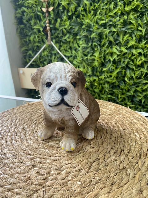 Cachorro Bulldog Baby