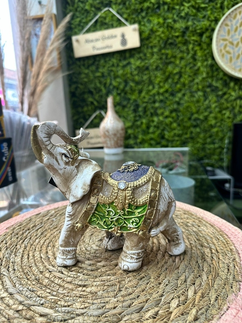 Elefante Indiano