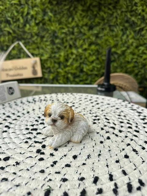 Estatueta Shitzu Sentado - comprar online