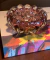 Cachepot Murano - Rubi - comprar online