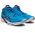 ASICS SKY ELITE FF MT 2 na internet