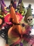 CHAPÉU HALLOWEEN - DoryMel Laços Pet