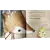Vai Dar Tudo Certo - Lysa Terkeurs - comprar online