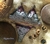 Conjunto 2 piezas “Sorrento”